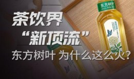 东方树叶最新爆料新闻报道,揭秘茶叶界的最新爆料